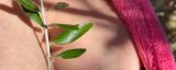 Webcam model Bizarrlady from Visit-X profile picture Webcam model Bizarrlady from Visit-X