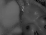 Image of cam model Nifre123 from Visit-X
