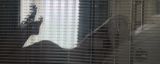 Webcam model Lamour from Visit-X profile picture Webcam model Lamour from Visit-X