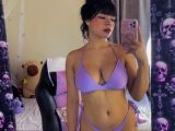 Image of cam model SHAROM-VIDAL from Visit-X