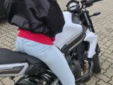 Image of cam model WildesFeuerwerk from Visit-X