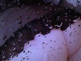Image of cam model LucyRush22 from Visit-X