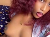 Image of cam model slim-siren from Visit-X