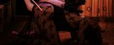 Webcam model RebelsDarlings from Visit-X profile picture Webcam model RebelsDarlings from Visit-X