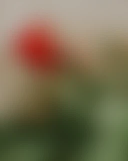 Admin:Aussicht Admin:Aussicht