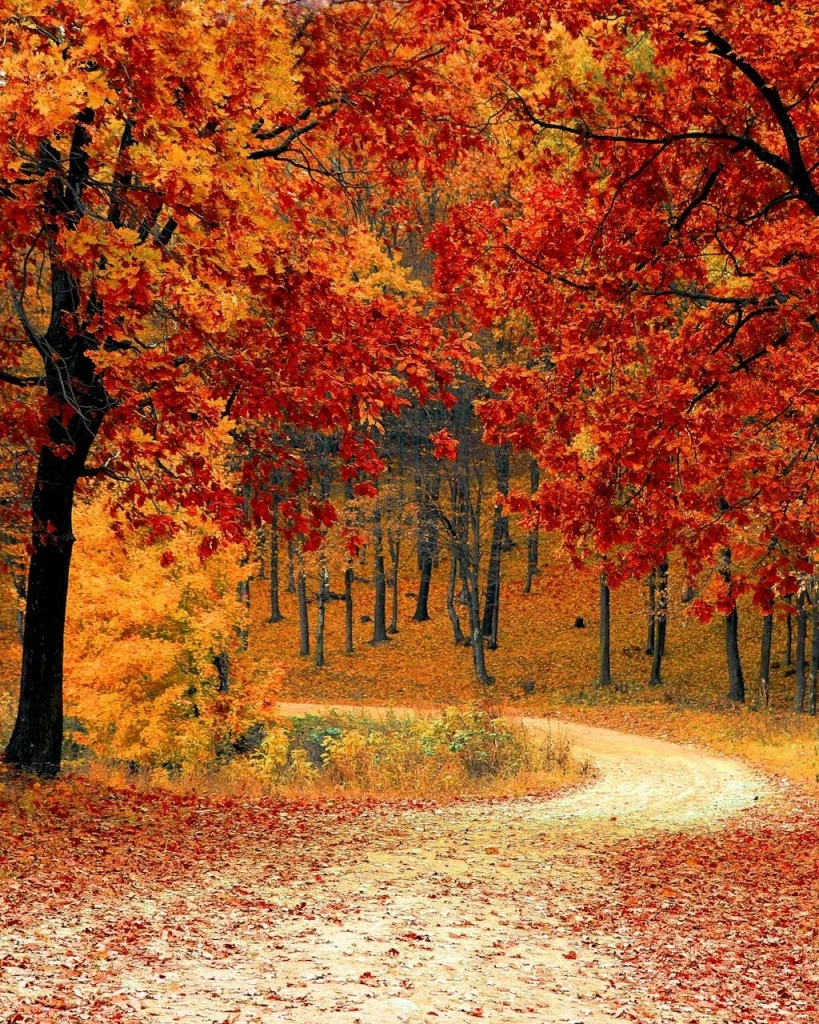 Admin:Herbst