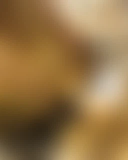 LeeTizia:The 2011 Flashback: No Panties Edition