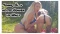 Sonne, Öl & heiße Frauen im Wald Sonne, Öl & heiße Frauen im Wald