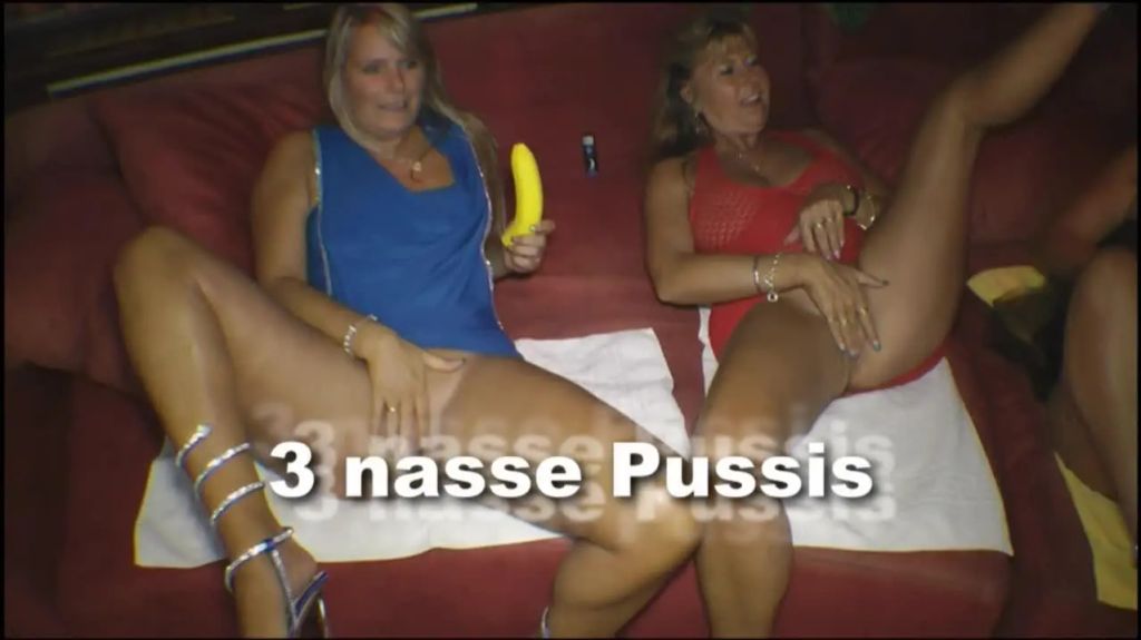 3 nasse Pussis