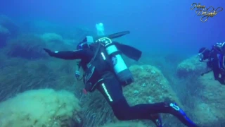 EROnight Trailer: Heras 600th dive
