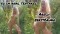 RIESEN TENTAKEL STOPFT MILF ARSCH BIS ZUM ANSCHLAG RIESEN TENTAKEL STOPFT MILF ARSCH BIS ZUM ANSCHLAG