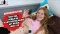 Blutjunges Teengirl besorgt es sich heimlich mit Dildo! Blutjunges Teengirl besorgt es sich heimlich mit Dildo!