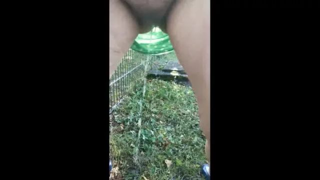 PUBLICPISS