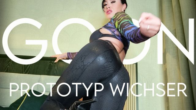 PSYDOM: Prototyp Wichser