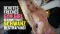 DEVOTES FRECHES GYM GIRL WILL DEN MONSTERSCHWANZ! DEVOTES FRECHES GYM GIRL WILL DEN MONSTERSCHWANZ!
