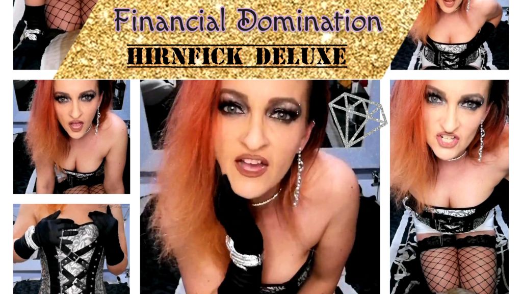 Financial Domination - Hirnfick Deluxe