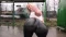 DORFMATRATZE | XXXL Cumshot auf den prallen Leggings Arsch DORFMATRATZE | XXXL Cumshot auf den prallen Leggings Arsch