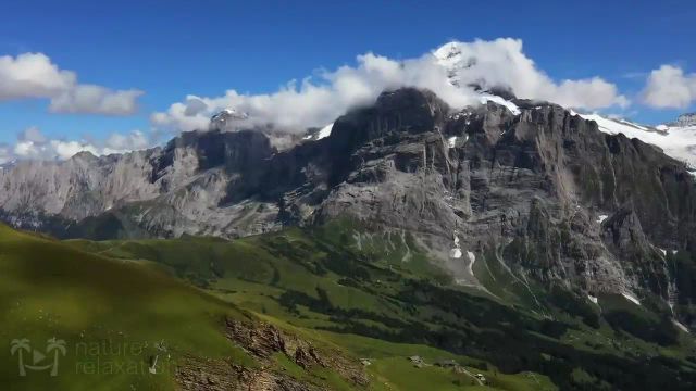 Test Video