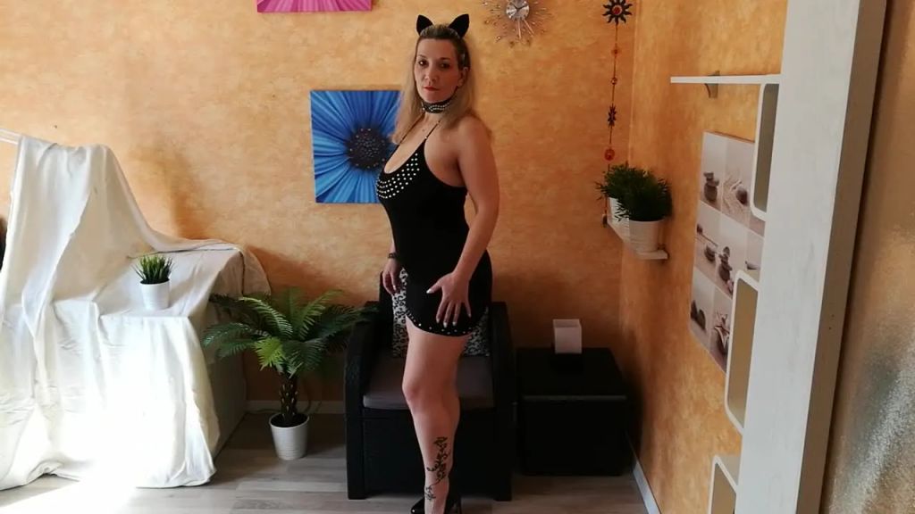 Kitty Cat Countdown by Sandybigboobs teaser