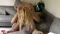 100% Spontanes Internetdate fickt mir alle Löcher kaputt !! 100% Spontanes Internetdate fickt mir alle Löcher kaputt !!