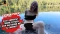Riskanter Public Fick am Eibsee mit Mega Cumshot! Riskanter Public Fick am Eibsee mit Mega Cumshot!